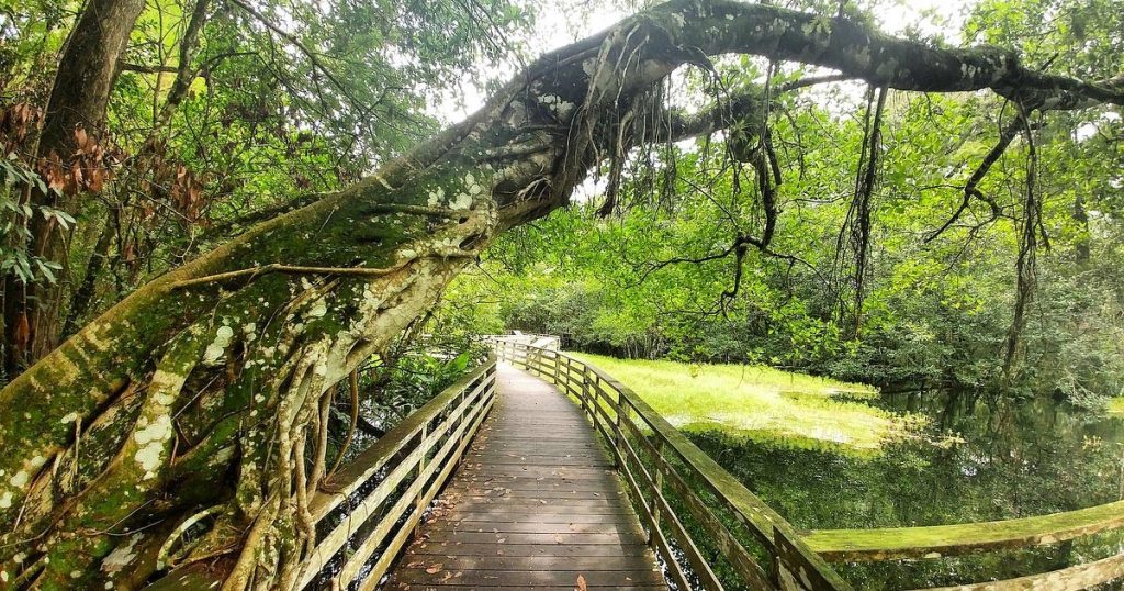 Top Things to Do in Naples Maine This Summer